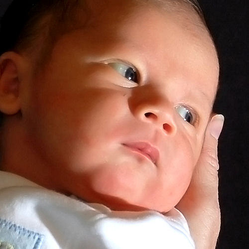 Should Christians dedicate their children?