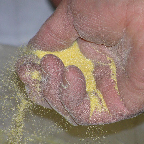 Casting in the meal