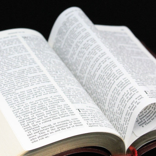 Inspiration of Scripture
