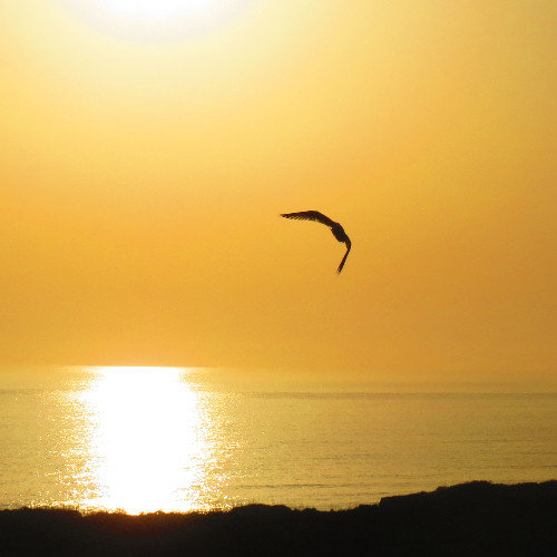 Sundry thoughts... short online biblical Articles